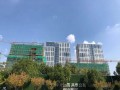 林艺房产怎么样（林艺艺术教育培训有限公司）