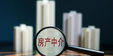 房产中介 怎么保证独家（房产中介 怎么保证独家业务）