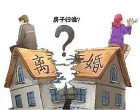 房产共同共有怎么确定份额（房产共同共有如何分割）