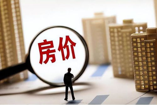 怎么做房产专家赚钱（房产专家视频）