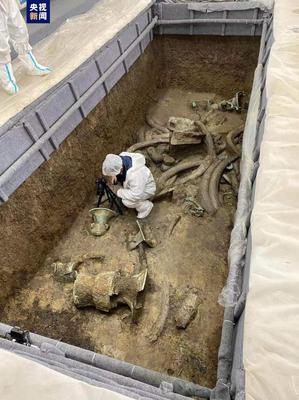 三星堆遗址考古发掘主要成果发布,三星堆遗址考古发掘取得重大进展