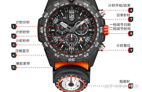 卡西欧属于什么档次,中国10大名牌手表