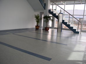 pvc运动地板(PvC运动地板清洁与保养)
