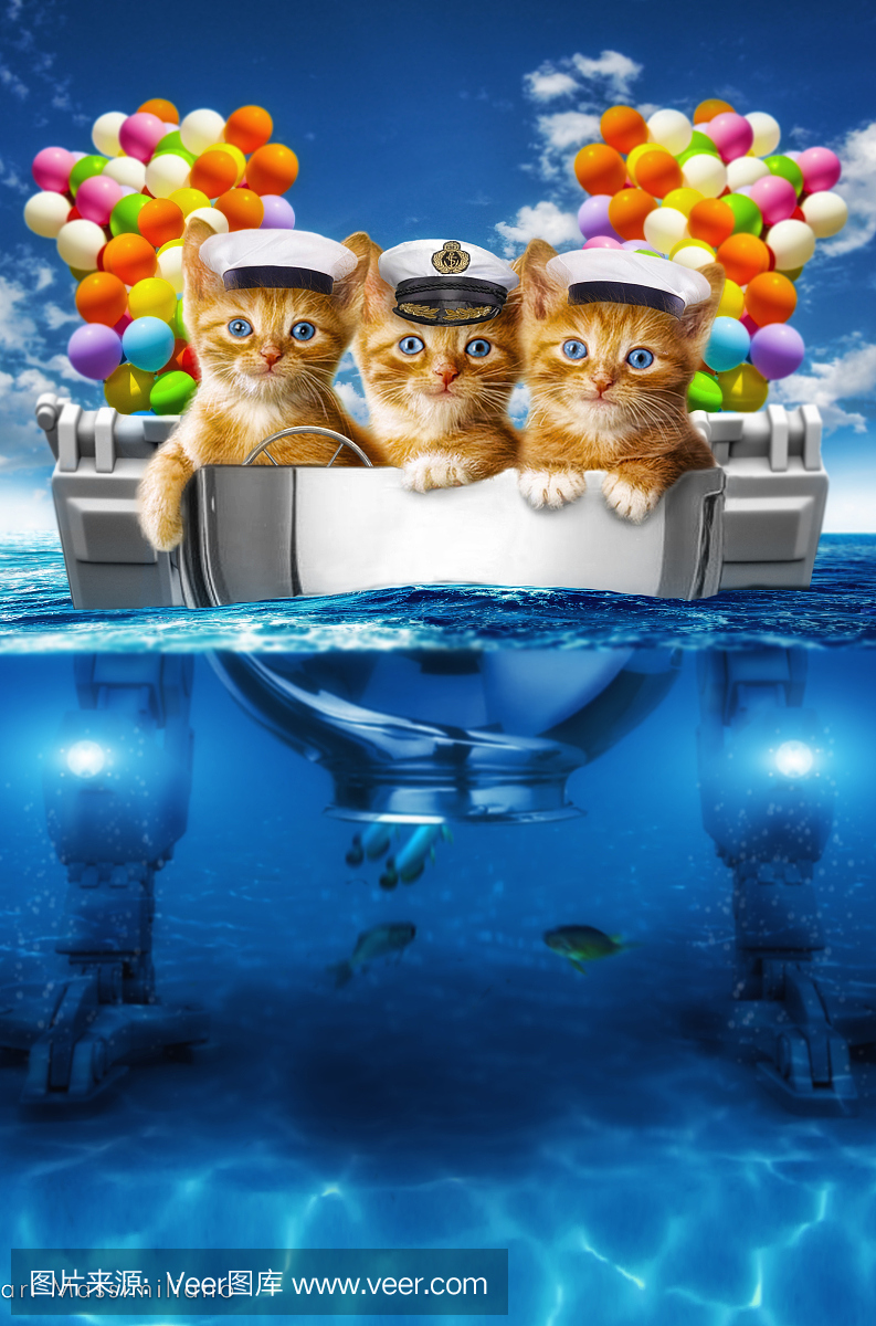 小猫钓鱼游戏下载有船(小猫钓鱼下载有船的版本)