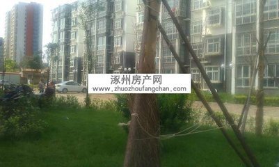 涿州房产网官网登录(涿州房产网官网登录网站)