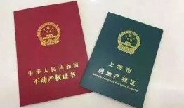 房产证怎么按份额（房产证怎么按份额收费）