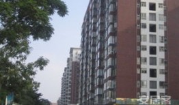 东莞鸿福路房产怎么买卖（东莞鸿福路口新楼盘）