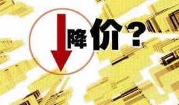 有人买不起房产怎么办（你买不起的房子 别人买得起）