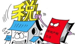 房产契税共有人怎么填（契税共有人指的是什么）