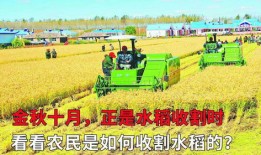 房产对内收割怎么办（房产对内收割怎么办理）