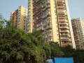 小龙房产运营怎么样（小龙地产所有楼盘名称）