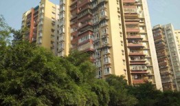 小龙房产运营怎么样（小龙地产所有楼盘名称）