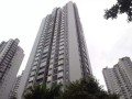 江西贵溪房产契税怎么交（贵溪房产交易中心）