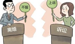 离婚房产找律师怎么收费（离婚房产打官司律师收费标准）