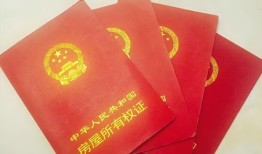 姐姐房产资讯怎么写（我的姐姐 房产证）