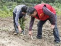老公有外人怎么处理房产（老公有了外遇房产）