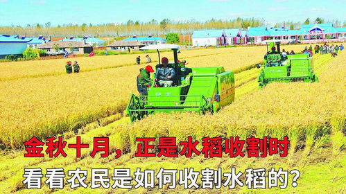 房产对内收割怎么办（房产对内收割怎么办理）
