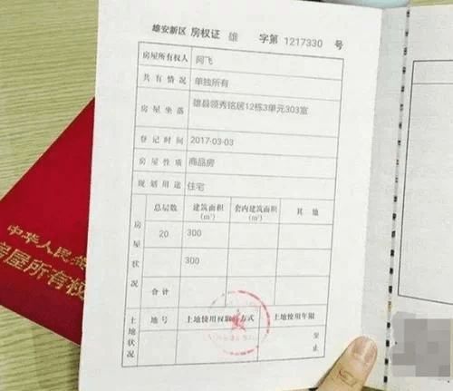 房产怎么查询过户成功没（怎么查询房产证过户完了没有）