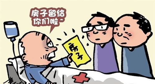 继承婶婶的房产怎么过户（继承婶婶的房产怎么过户给弟弟）