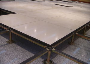 全钢陶瓷面防静电地板(全钢陶瓷防静电地板多少钱一平方米)