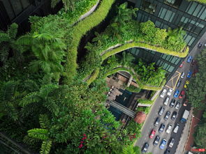新加坡城市花园(新加坡城市花园地产)