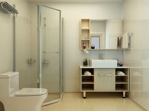 卫生间淋浴房图片(卫生间淋浴房图片)