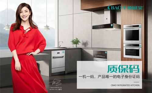 中国厨卫电器十大品牌(厨卫电器十大品牌代理)