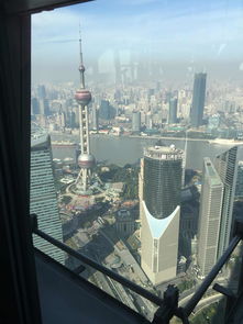 上海世贸大厦高度(上海世贸大厦图片)