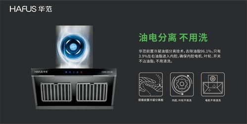 中国厨卫电器十大品牌排行榜(中国厨卫电器十大品牌排行榜图片)