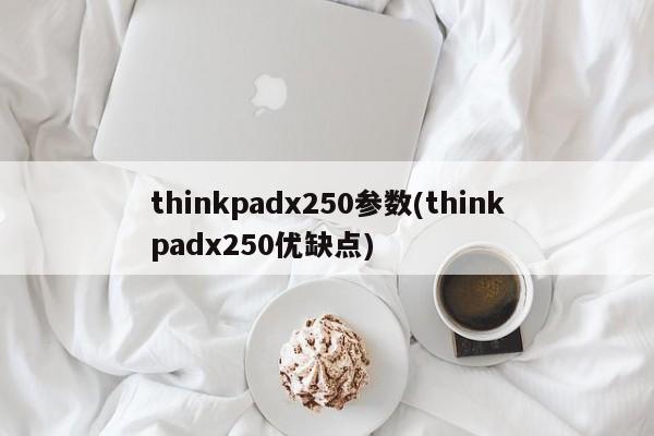 thinkpadx250参数(thinkpadx250优缺点)